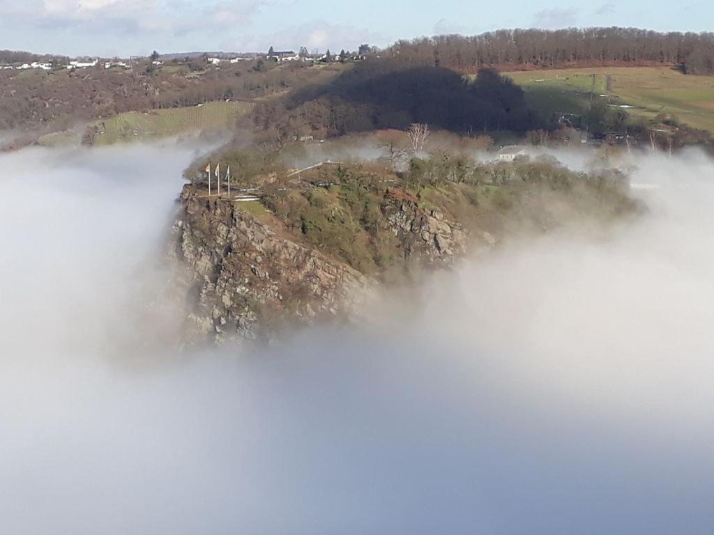 Ferienwohnung 554 - Urbar, Vis-A-Vis Der Loreley Urbar  ภายนอก รูปภาพ