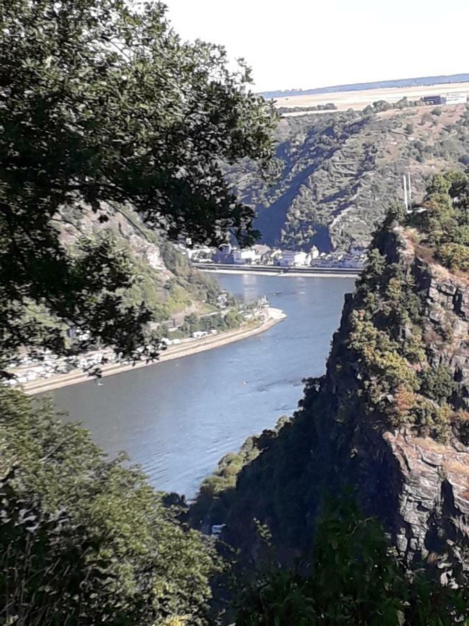 Ferienwohnung 554 - Urbar, Vis-A-Vis Der Loreley Urbar  ภายนอก รูปภาพ