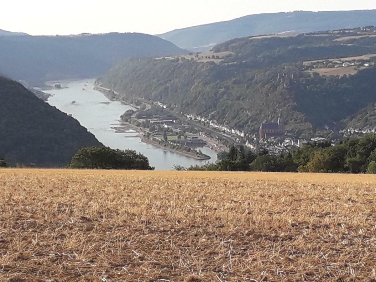 Ferienwohnung 554 - Urbar, Vis-A-Vis Der Loreley Urbar  ภายนอก รูปภาพ